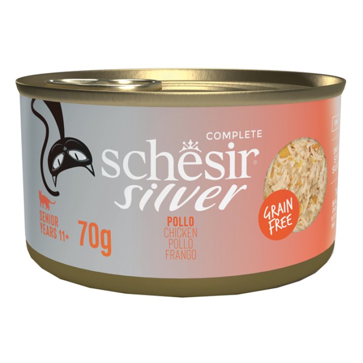Silver Senior Cat Pollo Filetti in Brodo - 70GR