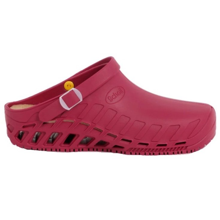 CLOG EVO TPR UNISEX VINO 36/37 Dr.Scholl&reg;