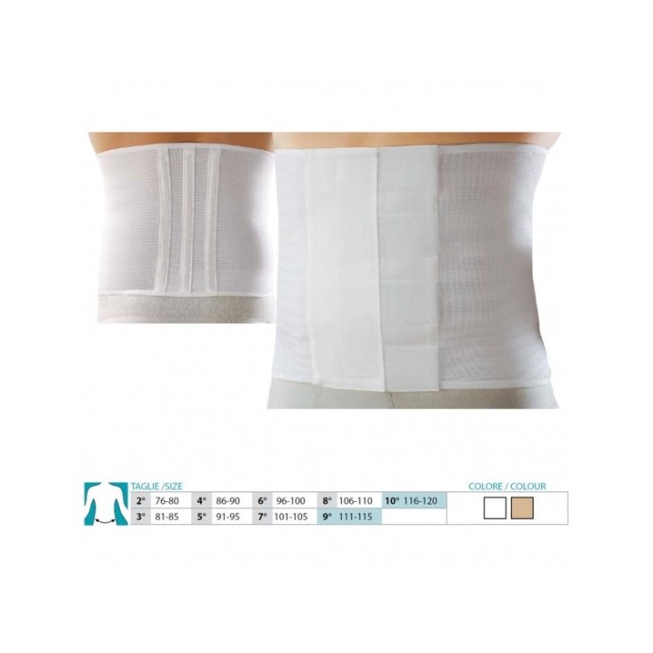 Fascia Regolabile Steccata Orione 1 Pezzo