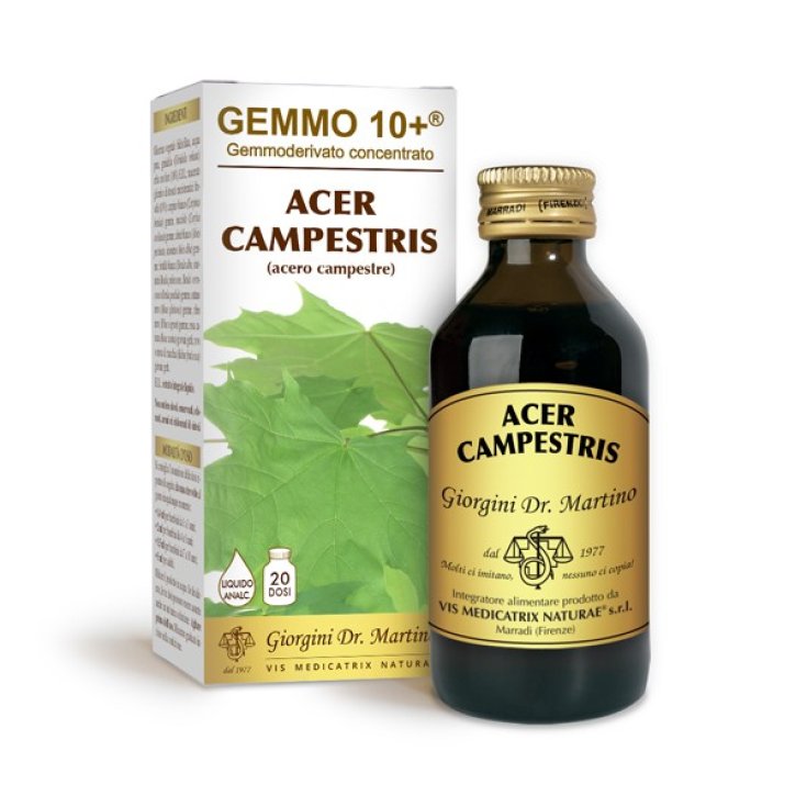 Acero Campestre G10+ Acer Campestris Dr. Giorgini 100ml