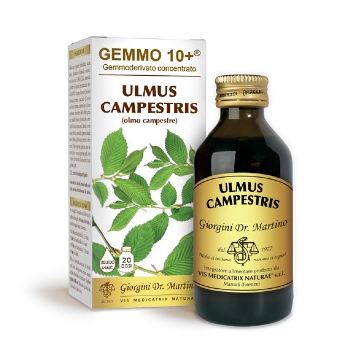 Olmo Campestre G10+ Ulmus Campestris Dr. Giorgini 100ml