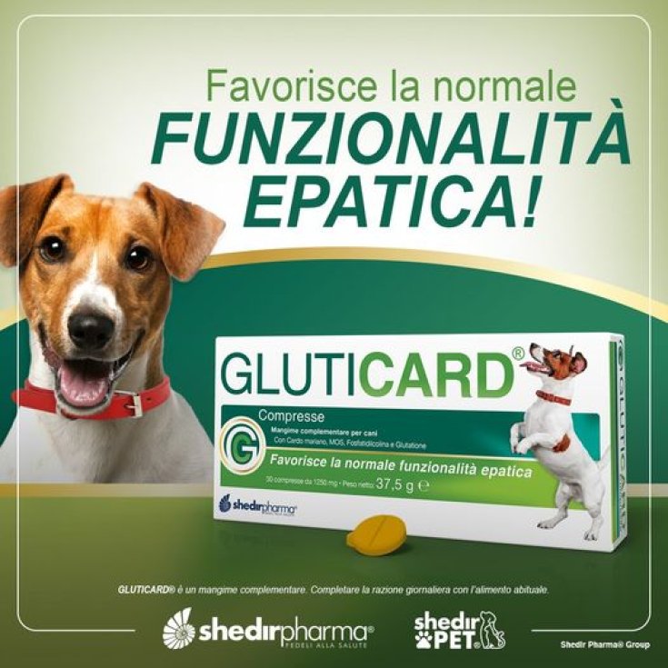 Gluticard&reg; ShedirPharma&reg; 30 Compresse