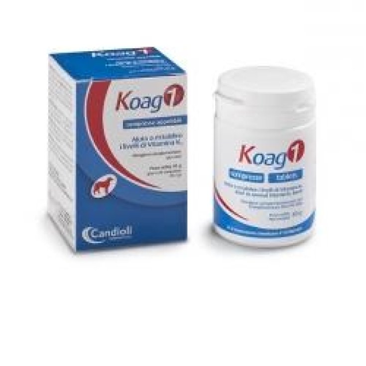 Koag 1 Candioli 20 Compresse Da 2g