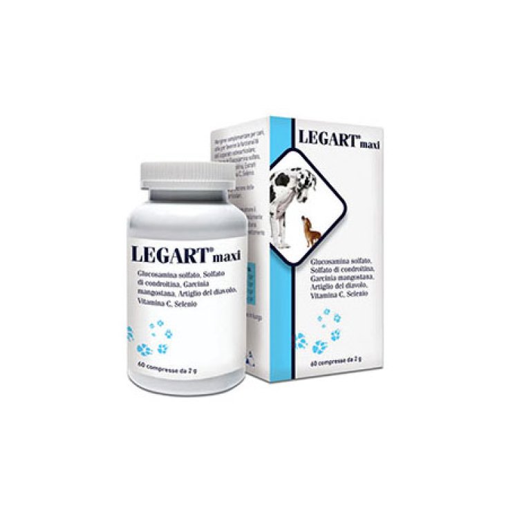 Legart Maxi - 60X2GR