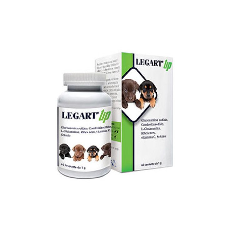 Legart Up - 60X1GR