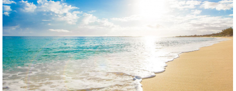 Funghi al mare e in spiaggia, come evitarli Funghi al mare e in spiaggia, come evitarli