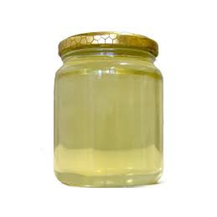 Miele Di Acacia Farmagourmet 250g