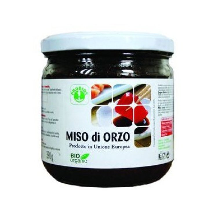 MISO ORZO Non Pastorizzato
