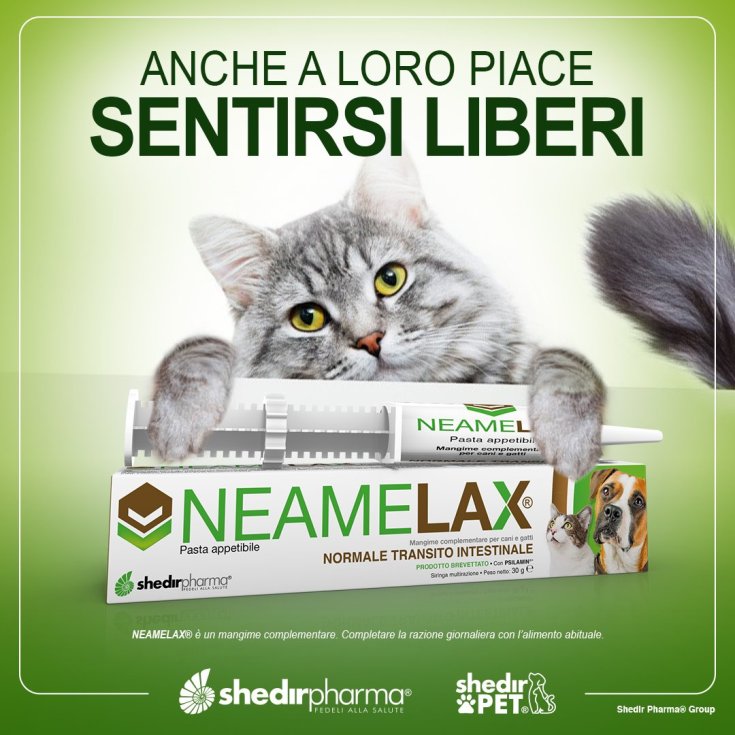 NeameLax&reg; Pasta ShedirPharma&reg; 30g