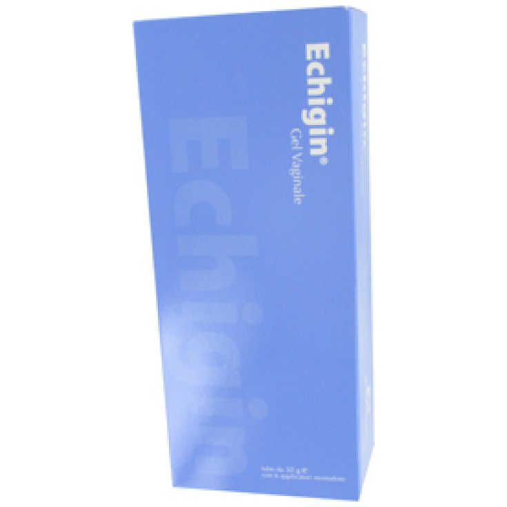 Echigin Gel Vaginale 6 Applicazioni Monodose 30g