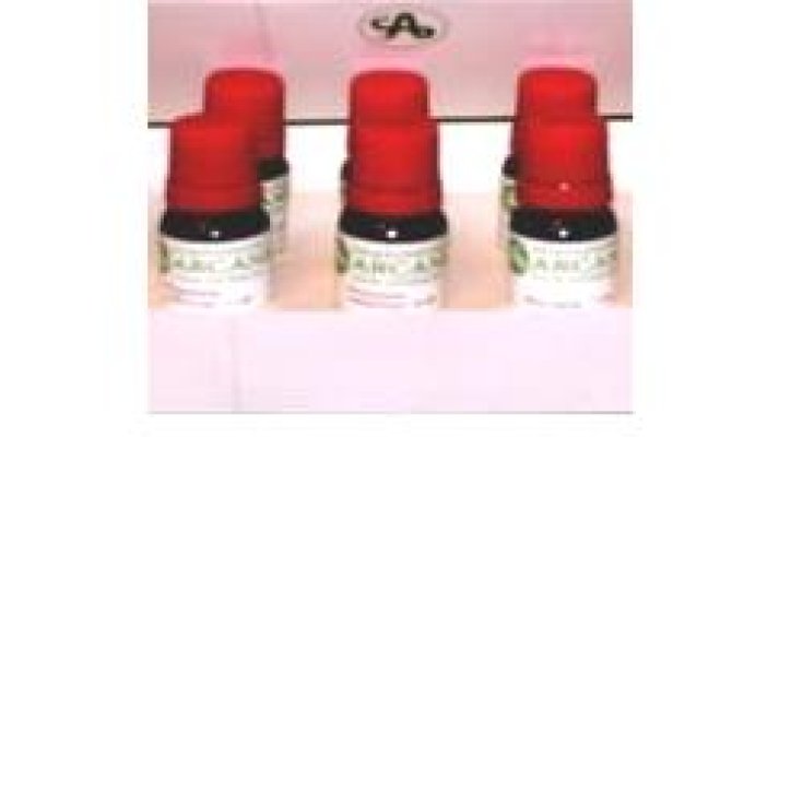 Belladonna 6lm 10ml Gtt