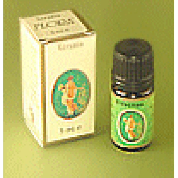 Aneto Olio Ess 5ml Demeter