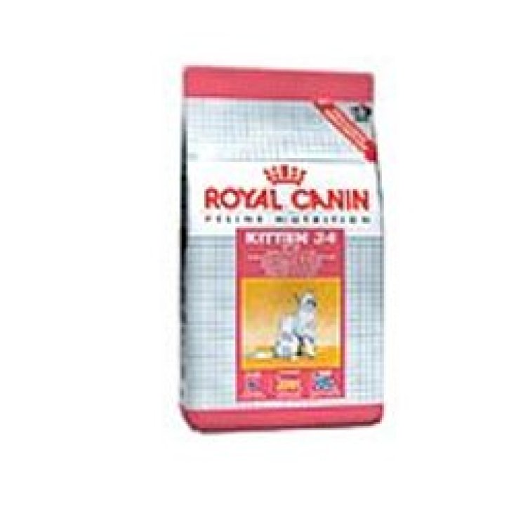 Kitten - 2KG