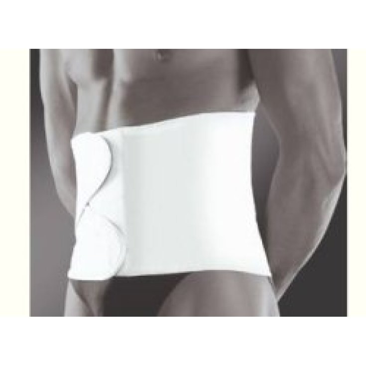 WELLNESS 675 FASC P/O B 30 XXL