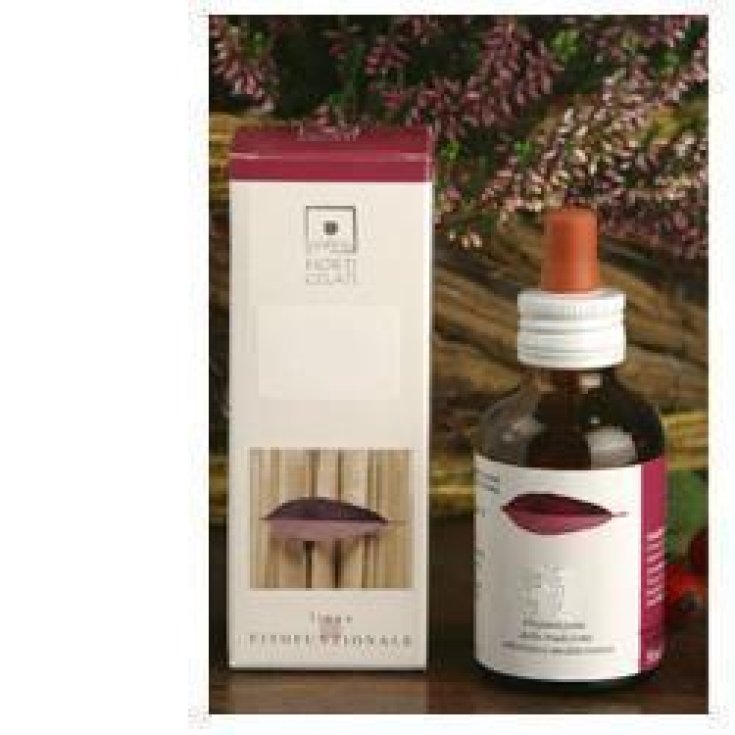 Santiveri Sequoia Gigantea Estratto Gliceroalcolico 50ml