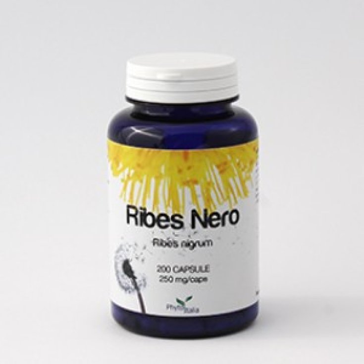 Ribes Nero Cassis PhytoItalia 60 Capsule