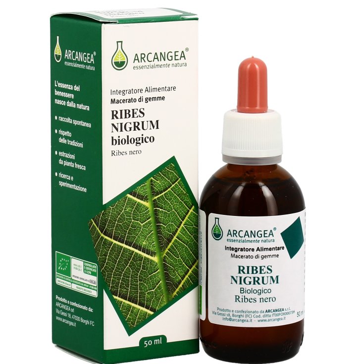 Ribes Nigrum Biologico Arcangea 100ml