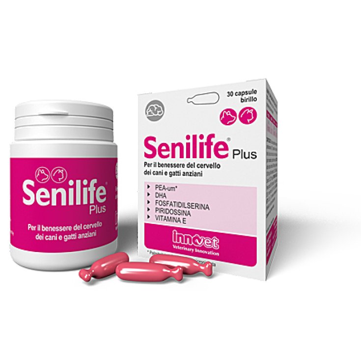 Senilife Plus - Capsule