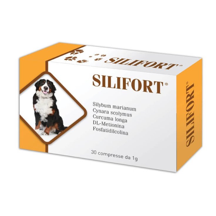 Silifort - 30X1GR