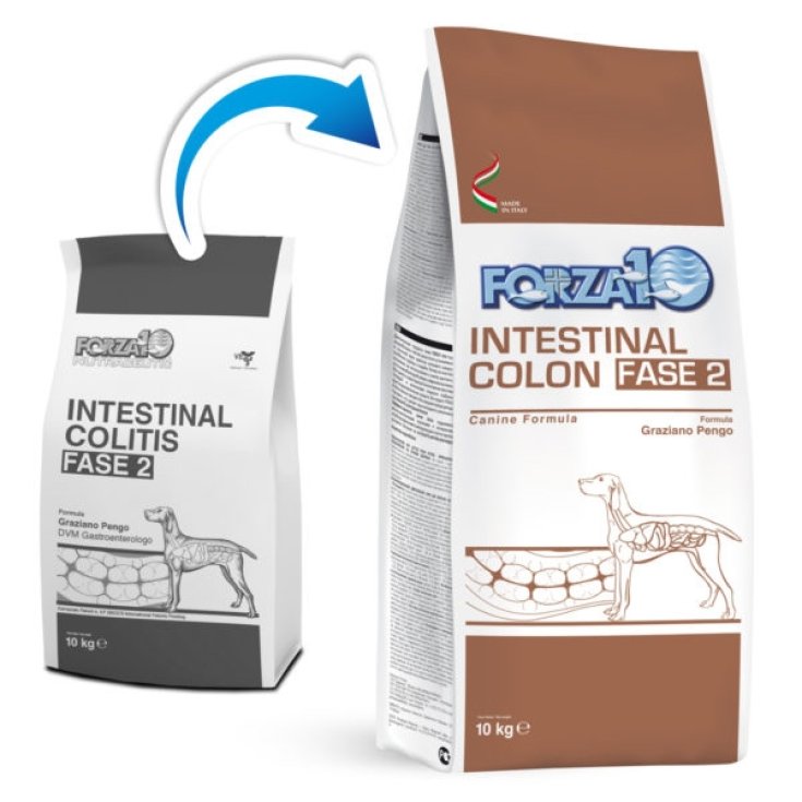 Active Intestinal Colon Fase 2 - 10KG