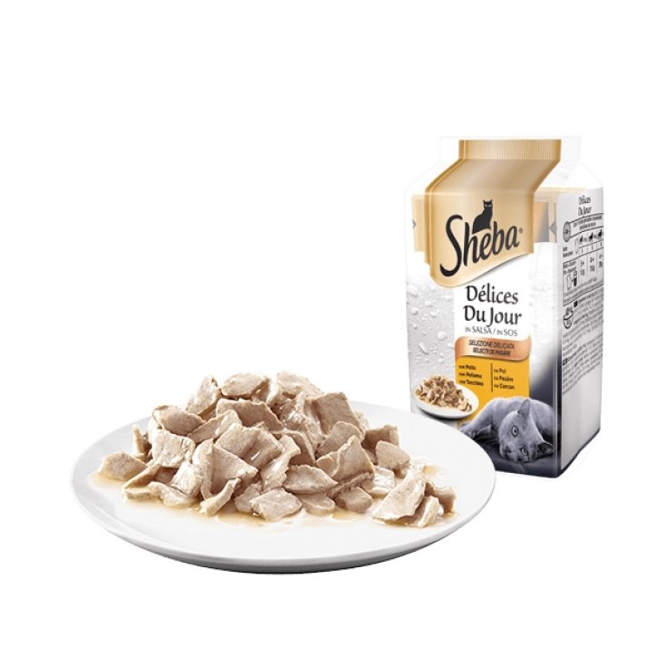 D&eacute;lices du Jour in Salsa Selezione Delicata - 15Xda 50 Gr,