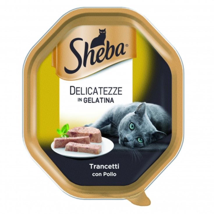 Delicatezze in Gelatina Trancetti con Pollo - 85GR