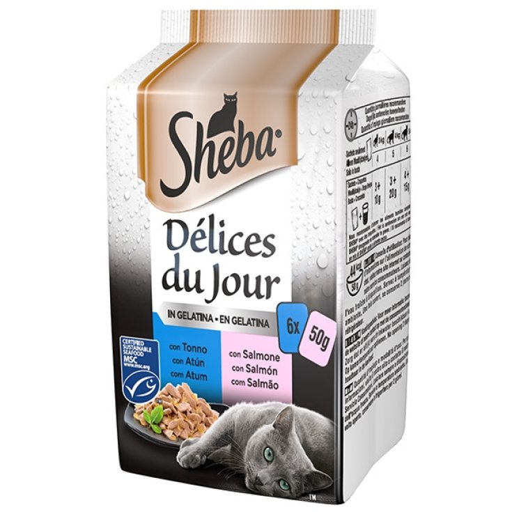 D&eacute;lices Du Jour con Tonno e Salmone in Gelatina - da 50Gr.