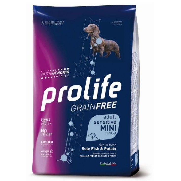 Grain Free Adult Mini Sensitive Sole Fish & Potato - 600GR