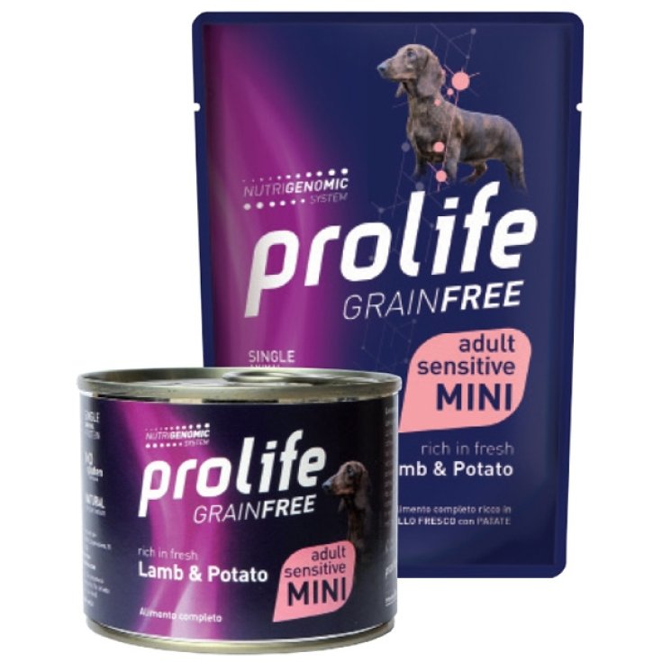 Grain Free Adult Mini Sensitive Lamb & Potato - 100GR