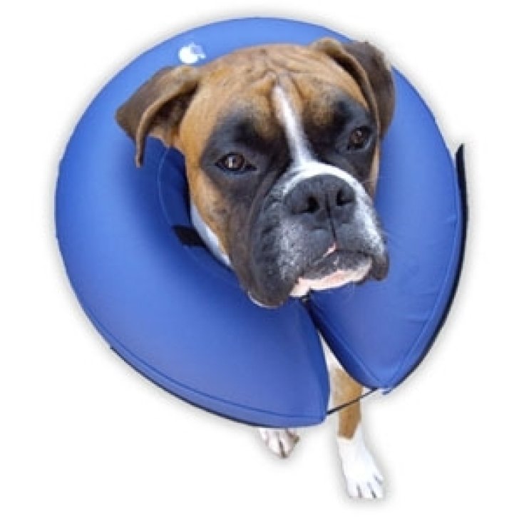 Procollar collare gonfiabile blu - Taglia XS - &oslash; int, 5 cm | &oslash; est, 16