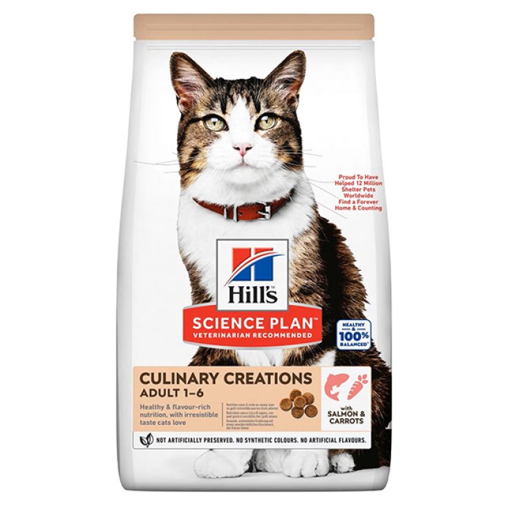 Science Plan Cat Culinary Creations Salmone e Carote - 10KG