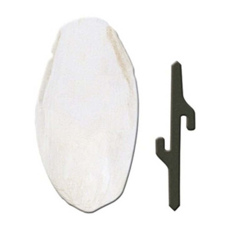 Osso di Seppia - 5 x 1,5 x h 12,5CM