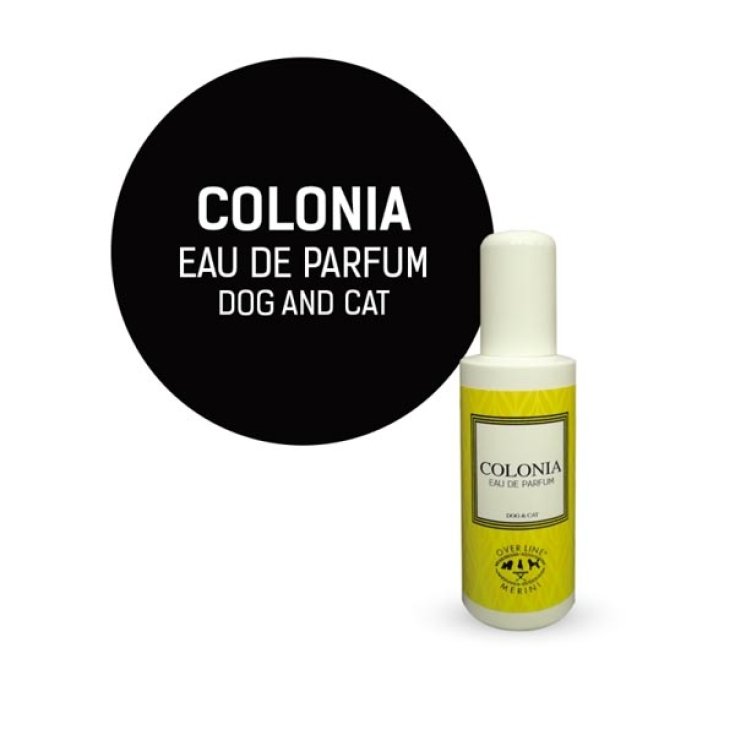 Profumo Colonia - 100ML