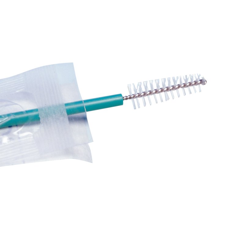 GIMABRUSH SPAZZ CITOLOGIA STER
