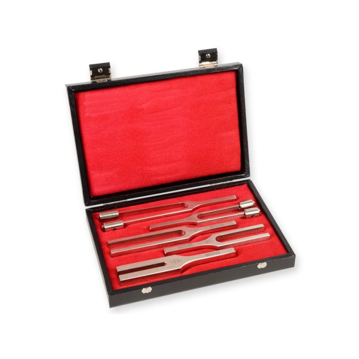 DIAPASON LEGA TROUSSE 5PZ