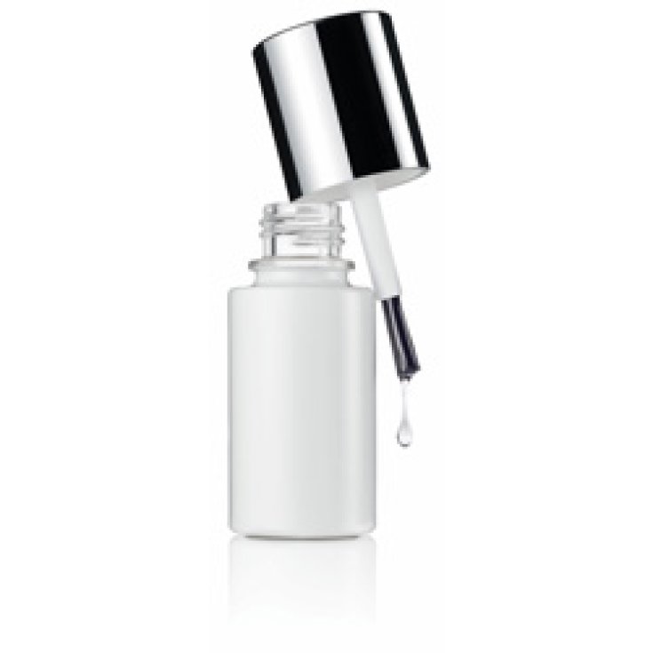 @CQ BASE E TOP COAT 01