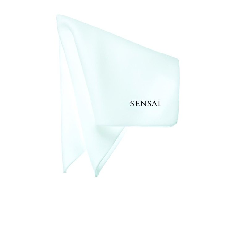 Kanebo Sensai Spugna Parti