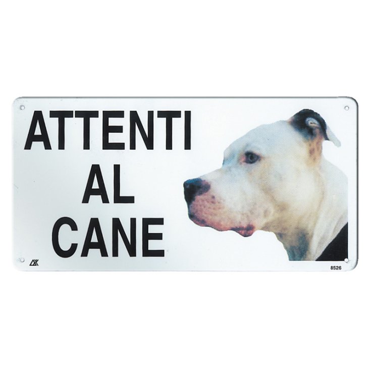RECORD TARGA ATTENTI AL CANE MEDIA PITT