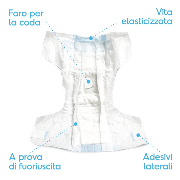 RECORD ASSORBIPIU 12 PANNOLINI M 35-52 C