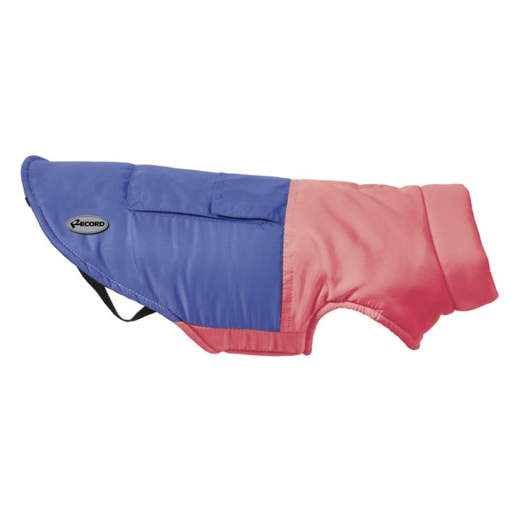 RECORD POCHETTE BLU ROSSO XXXXXXL PETTO: