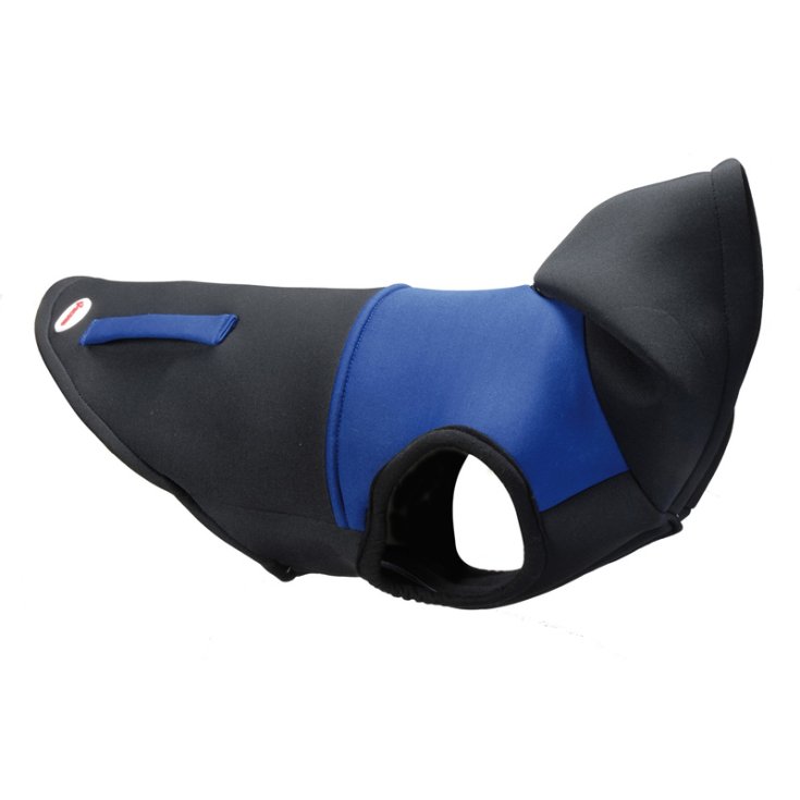 RECORD RECORD-FELPA JOGGER,27-33/22-24 C