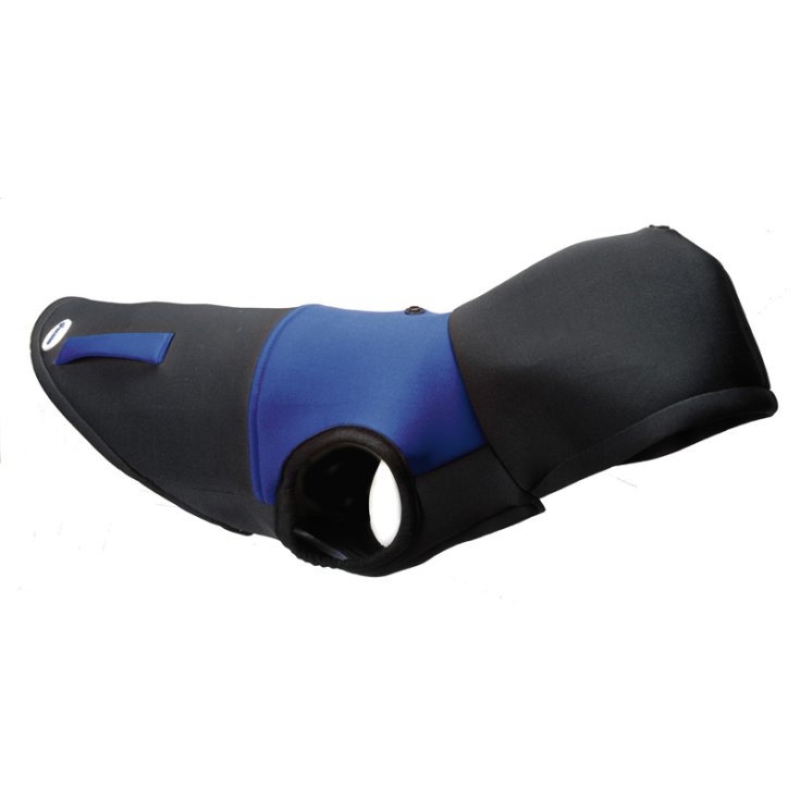 RECORD RECORD-FELPA JOGGER,53-61/32-36 C