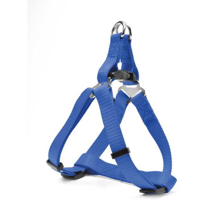 RECORD RAPIDO PETTORINA NYLON BLU XL 2,5