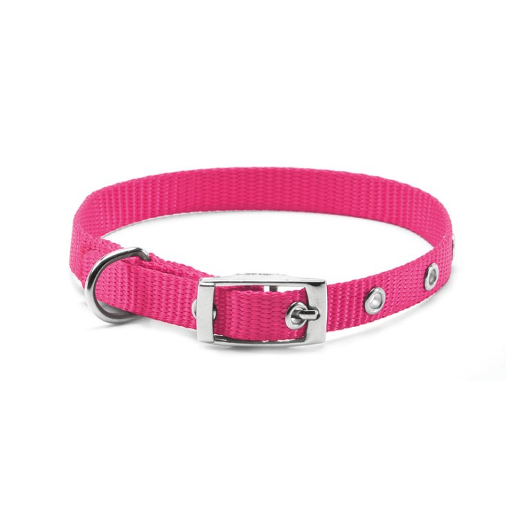 RECORD COLLARE NYLON CON FIBBIA ROSA 1X2