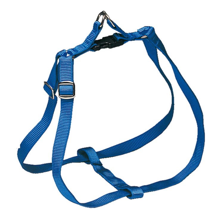 RECORD PETTORALE NYLON RAPIDO S 26 G