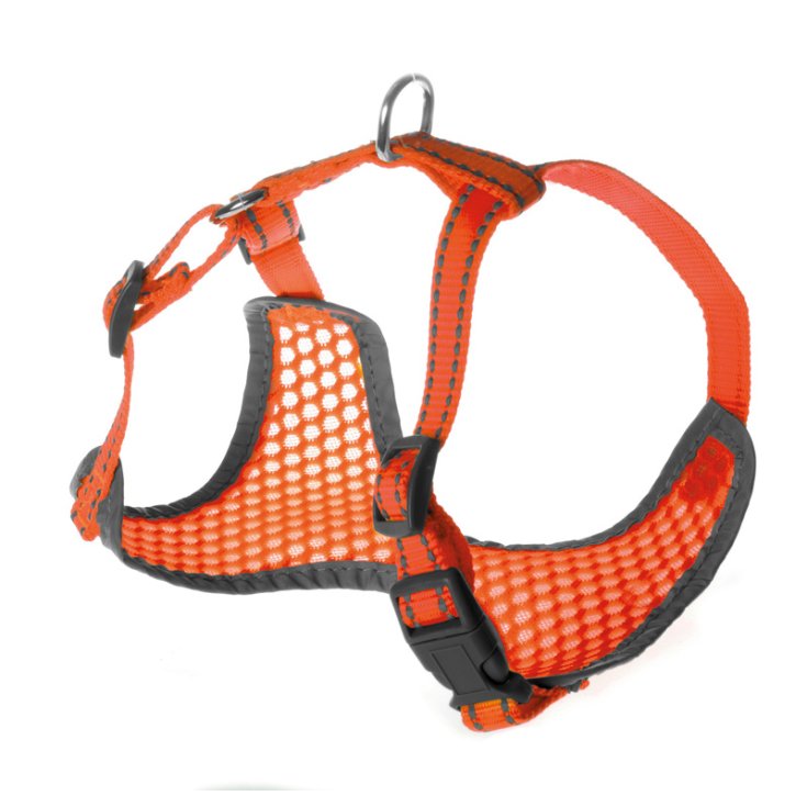 RECORD FLUO PETT.NYLON C/BANDE CATARIFRA