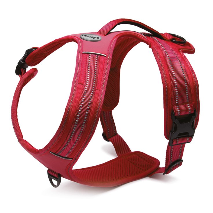 RECORD ACTION PETTORINA ROSSO M 60 72 CM