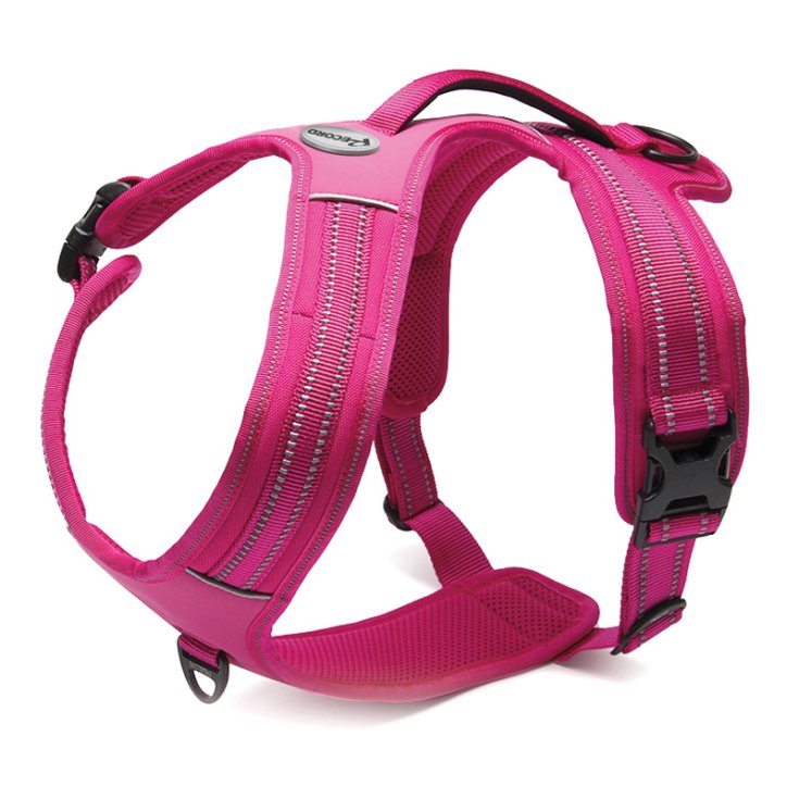RECORD ACTION ALPI PETTORINA FUCSIA XL 9