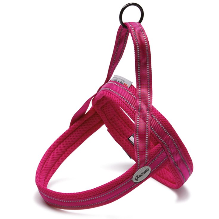 RECORD ACTION PETTORINA FUCSIA S 54 64 C