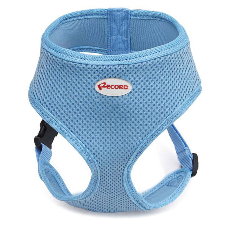 RECORD FAST DOG PETTORINA BLU M 28-33/41